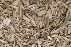 biomass boilers Enterkinfoot